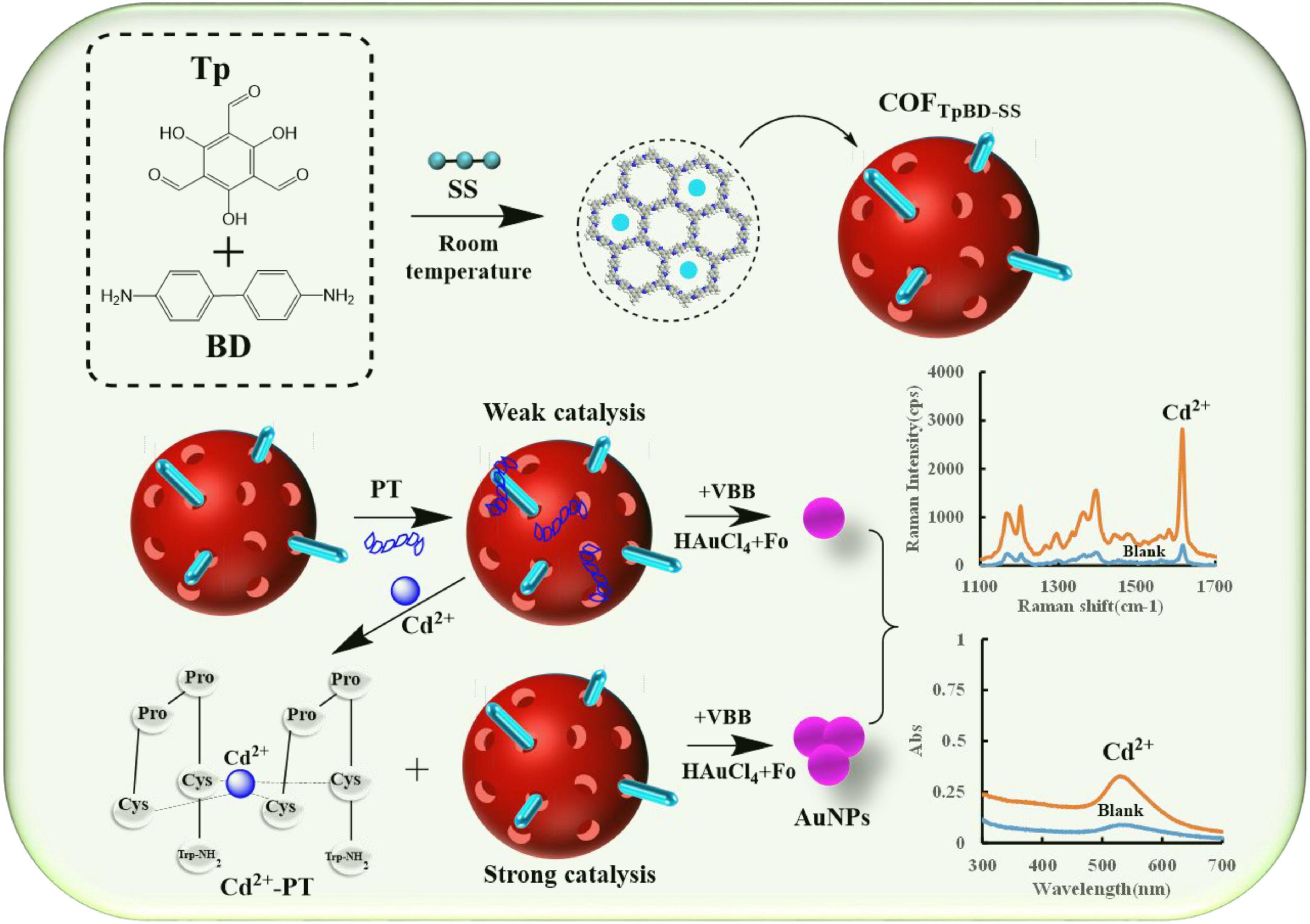 Highly catalytic nanoenzyme of covalent organic framework loaded starch- surface-enhanced Raman scattering/absorption bi-mode peptide as biosensor for ultratrace determination of cadmium